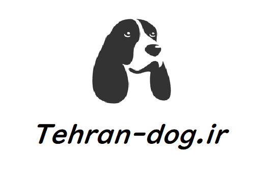 تهران داگ